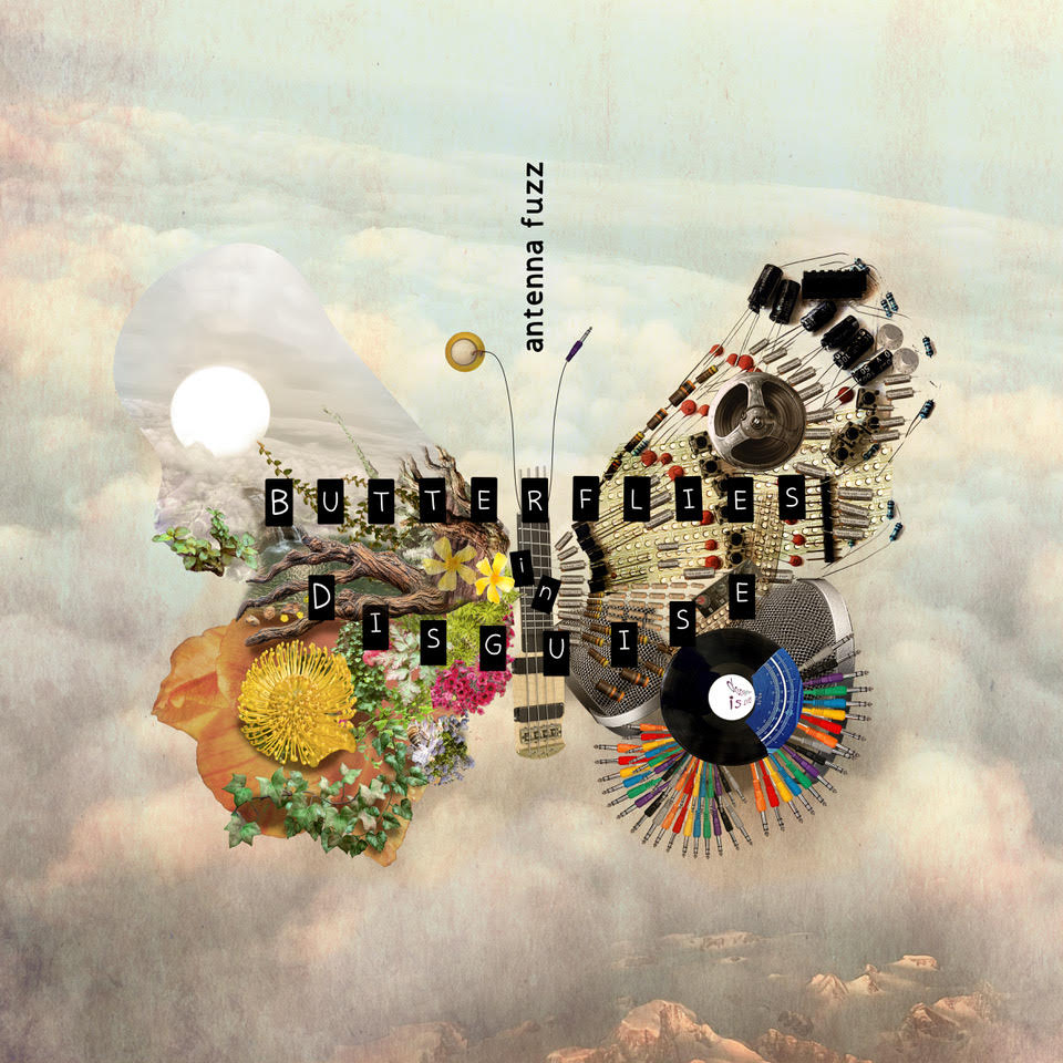 Butterflies in Disguise album artwork front cover